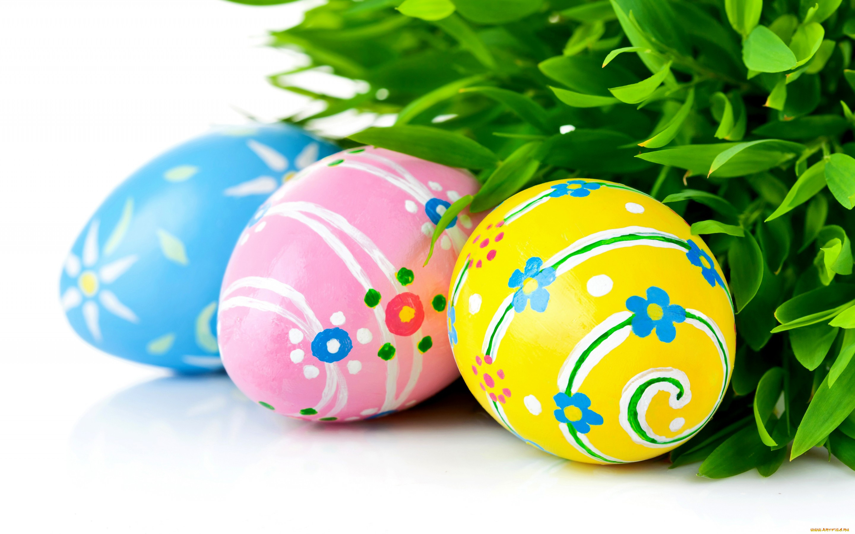 , , , , eggs, , easter, spring, holiday